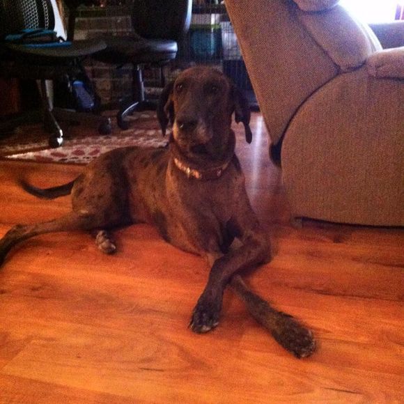 Meet your Posher, Espe - Picture 1 of 1